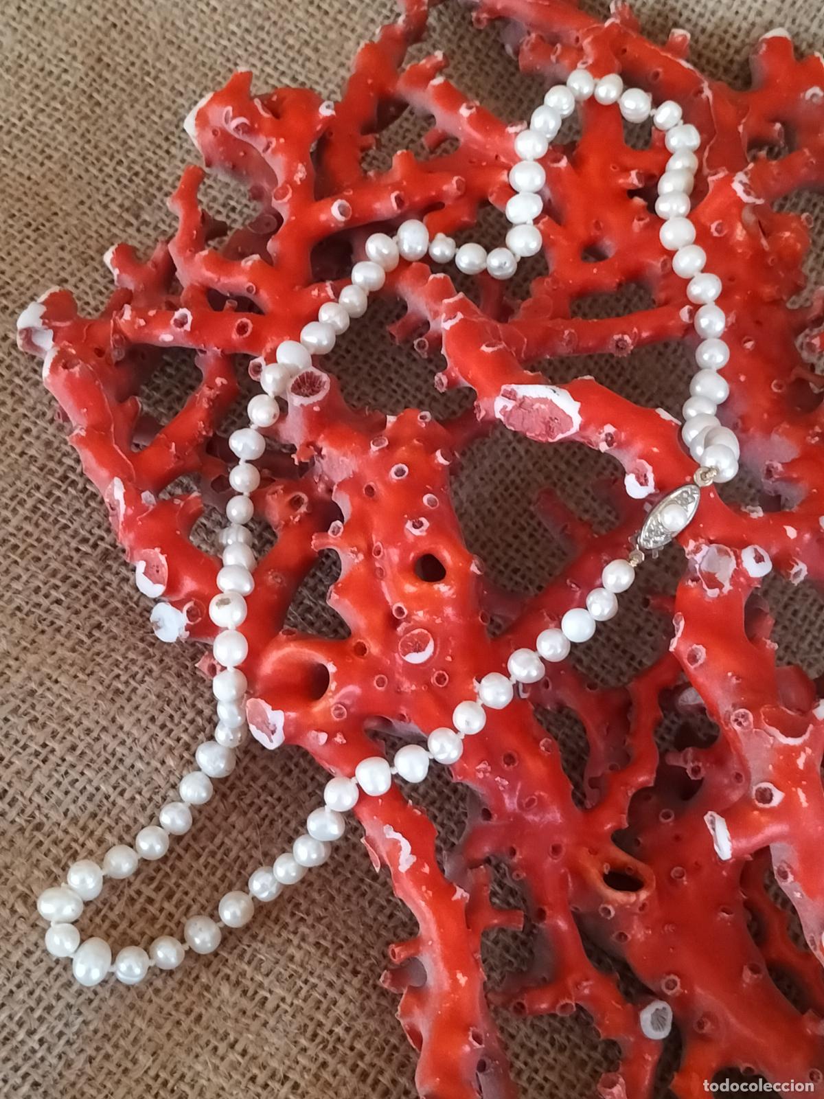 Joyeria: COLLAR DE PERLAS DE R&Iacute;O NATURALES CON CIERRE DE CAJA CON PERLA. - Foto 1