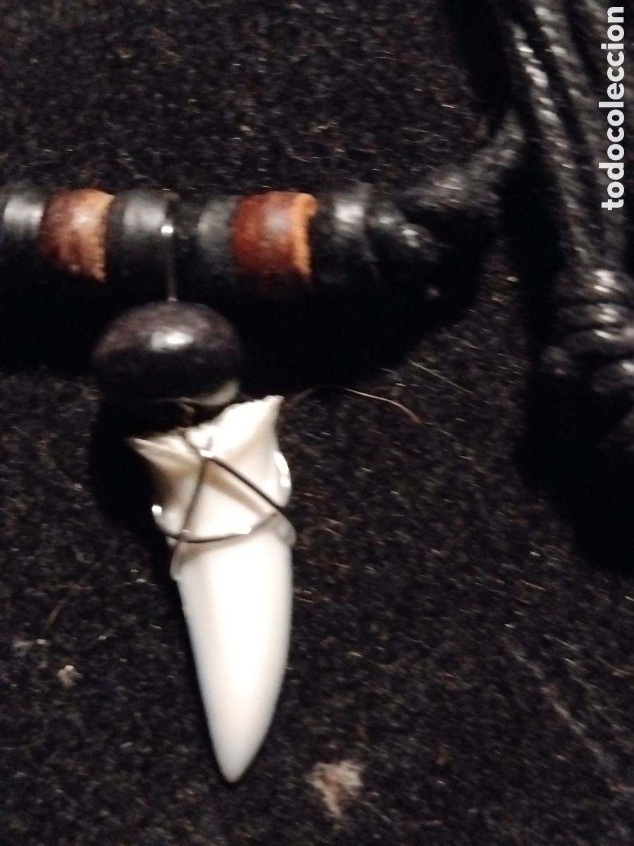Joyeria: Collar con diente de tiburon jumbo - Foto 1