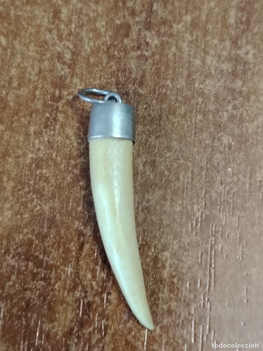 Joyeria: Colgante antiguo de cuerno - Foto 1