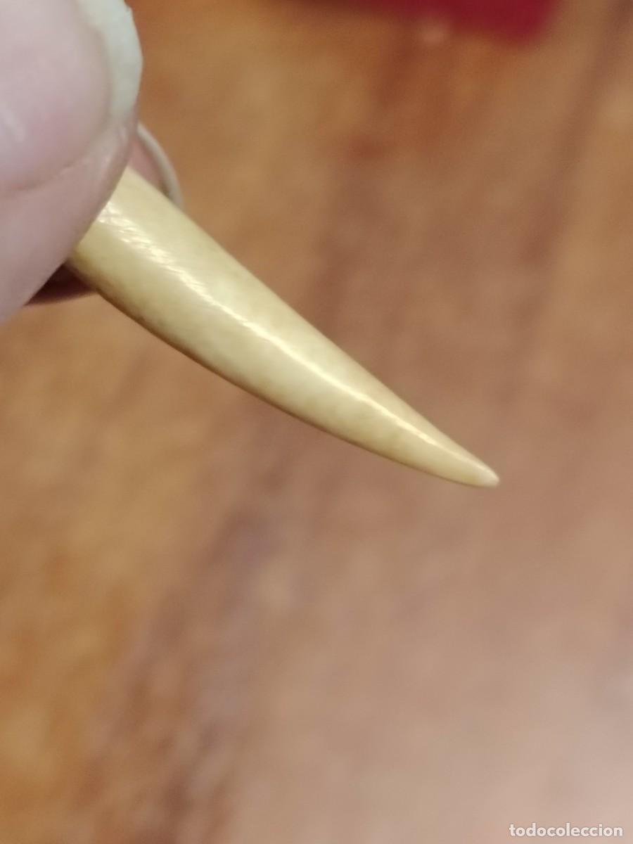 Joyeria: Colgante antiguo de cuerno - Foto 2