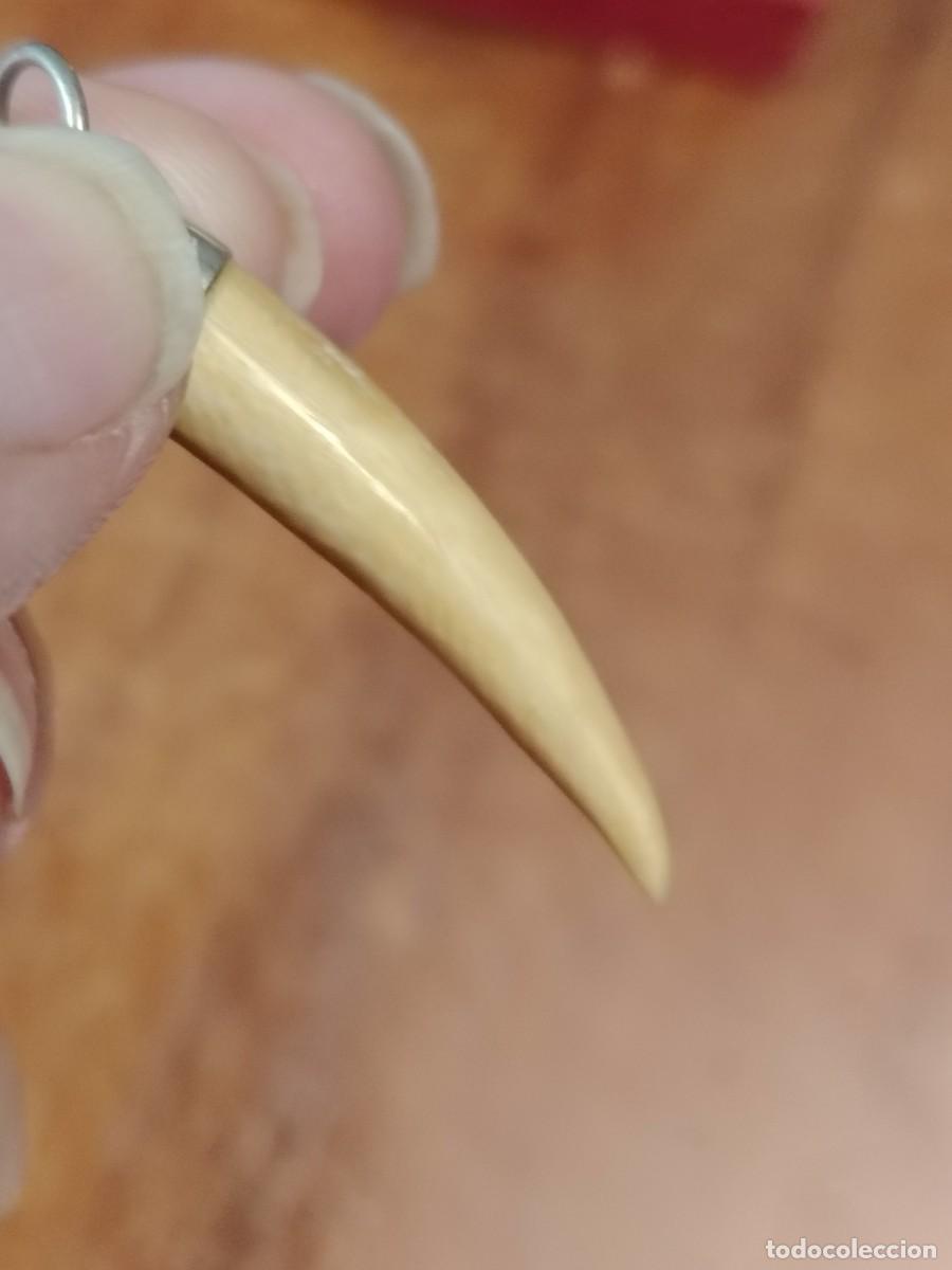 Joyeria: Colgante antiguo de cuerno - Foto 3