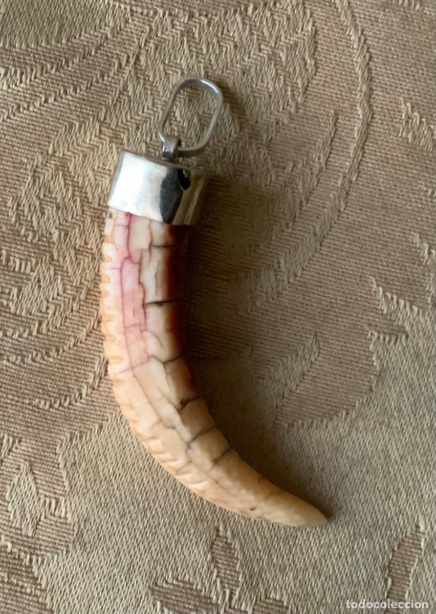 Joyeria: COLGANTE COLMILLO ESTRIADO - Foto 1