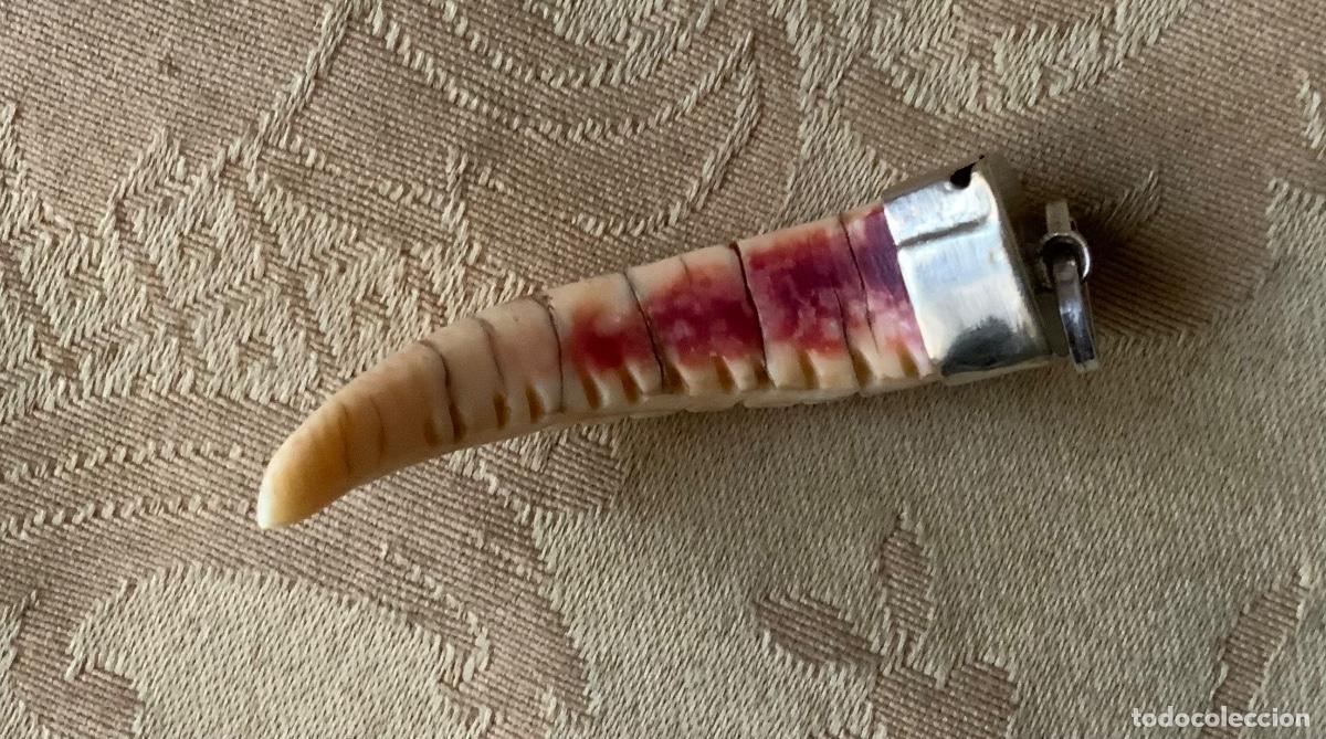 Joyeria: COLGANTE COLMILLO ESTRIADO - Foto 4
