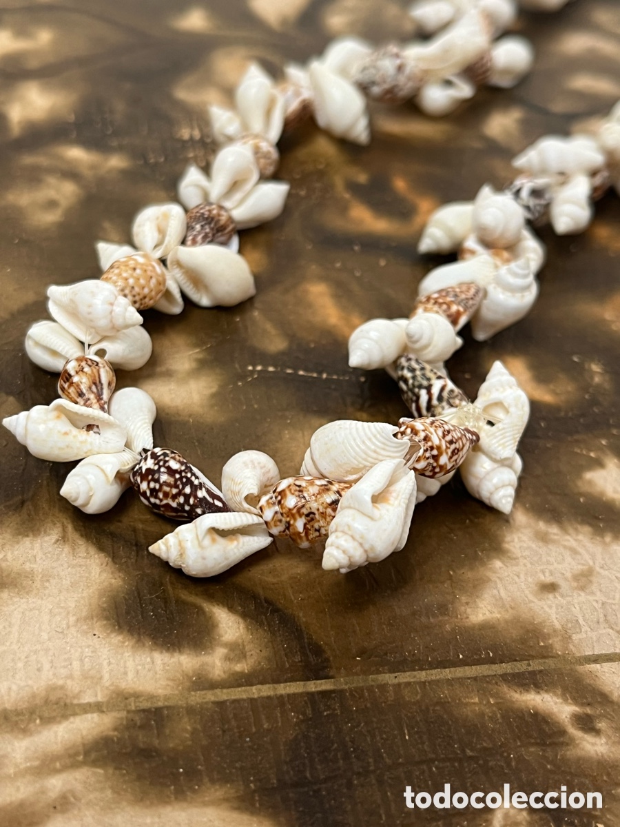 Joyeria: Collar de Conchas Marinas: Joya R&uacute;stica y Natural. V4 - Foto 2