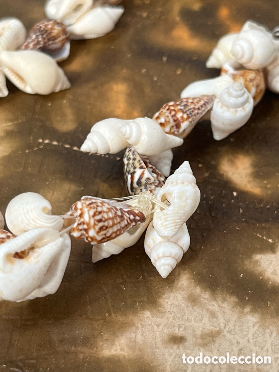 Joyeria: Collar de Conchas Marinas: Joya R&uacute;stica y Natural. V4 - Foto 3