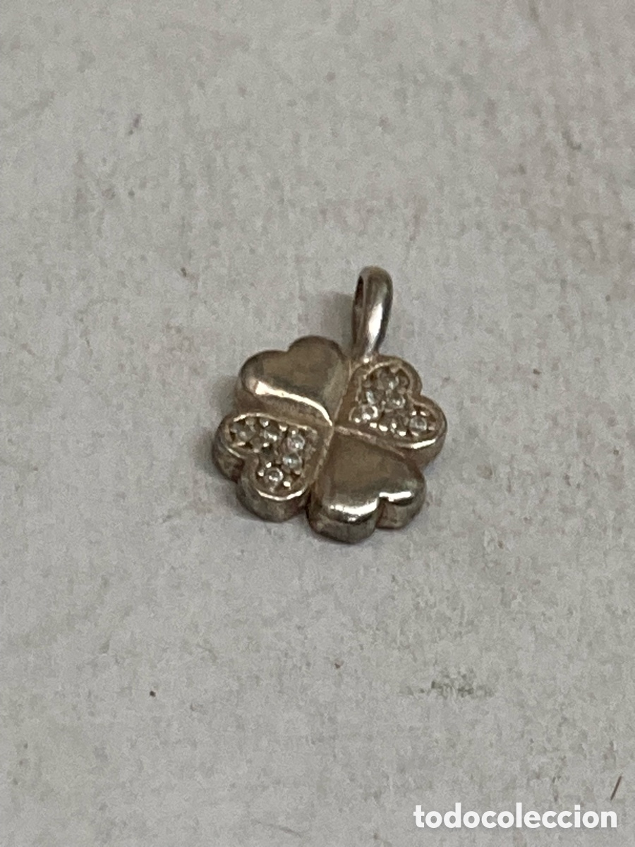 Joyeria: Colgante de plata C503 - Foto 1