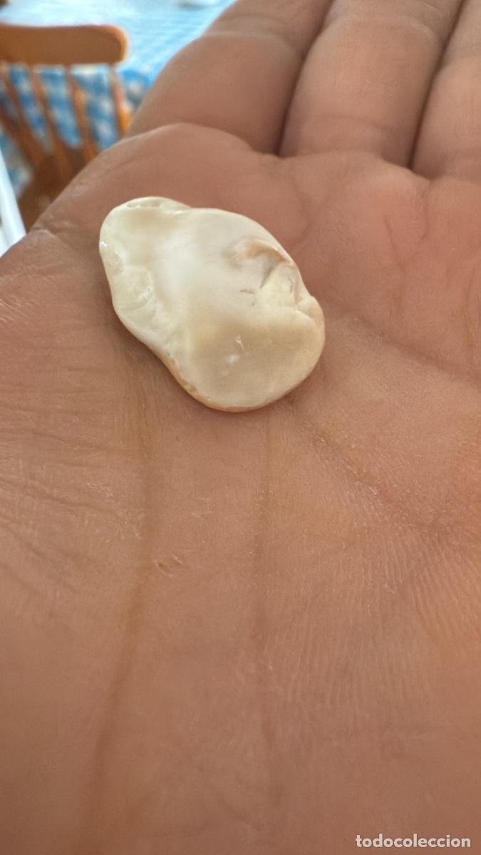 Joyeria: Perla salvaje barroca oc&eacute;ano - Foto 2