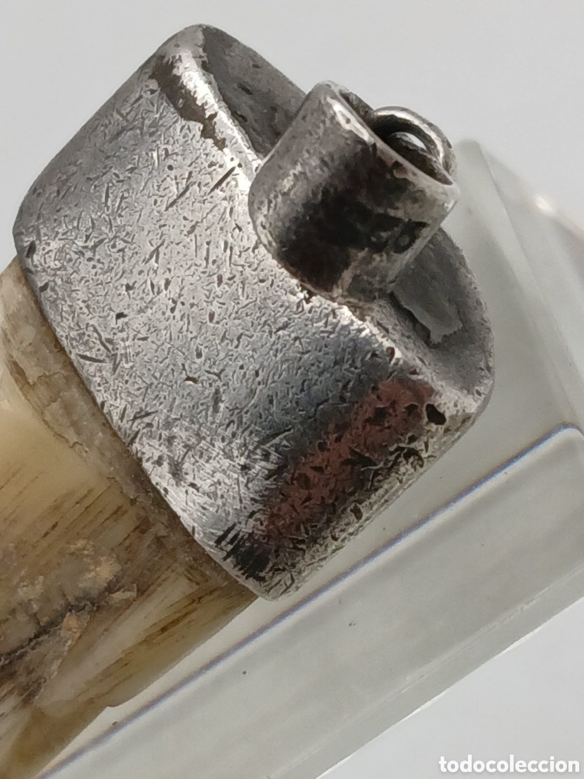 Joyeria: Colgante plata 925mls y colmillo - Foto 7