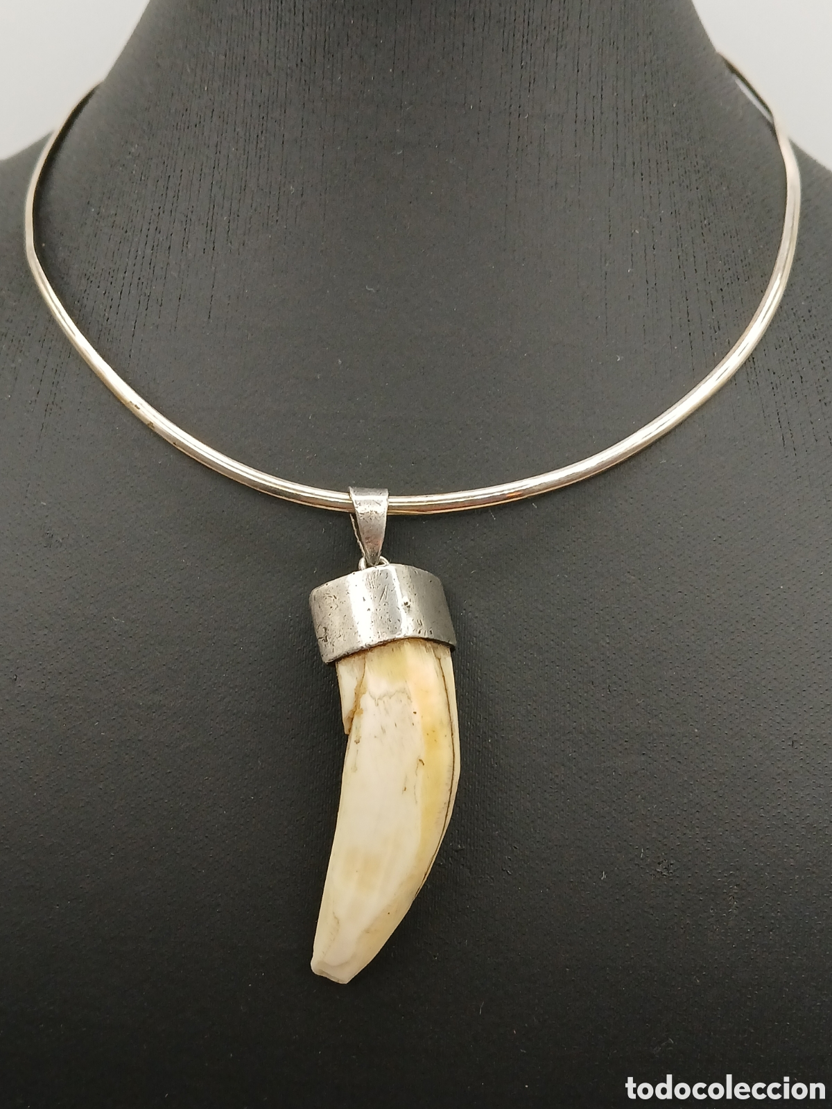 Joyeria: Colgante plata 925mls y colmillo - Foto 1