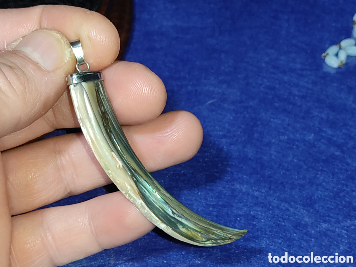 Joyeria: Colgante colmillo de n&aacute;car & &Aacute;valon. - Foto 2