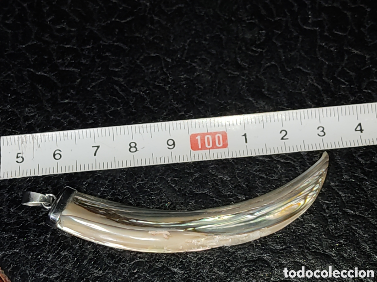 Joyeria: Colgante colmillo de n&aacute;car & &Aacute;valon. - Foto 3
