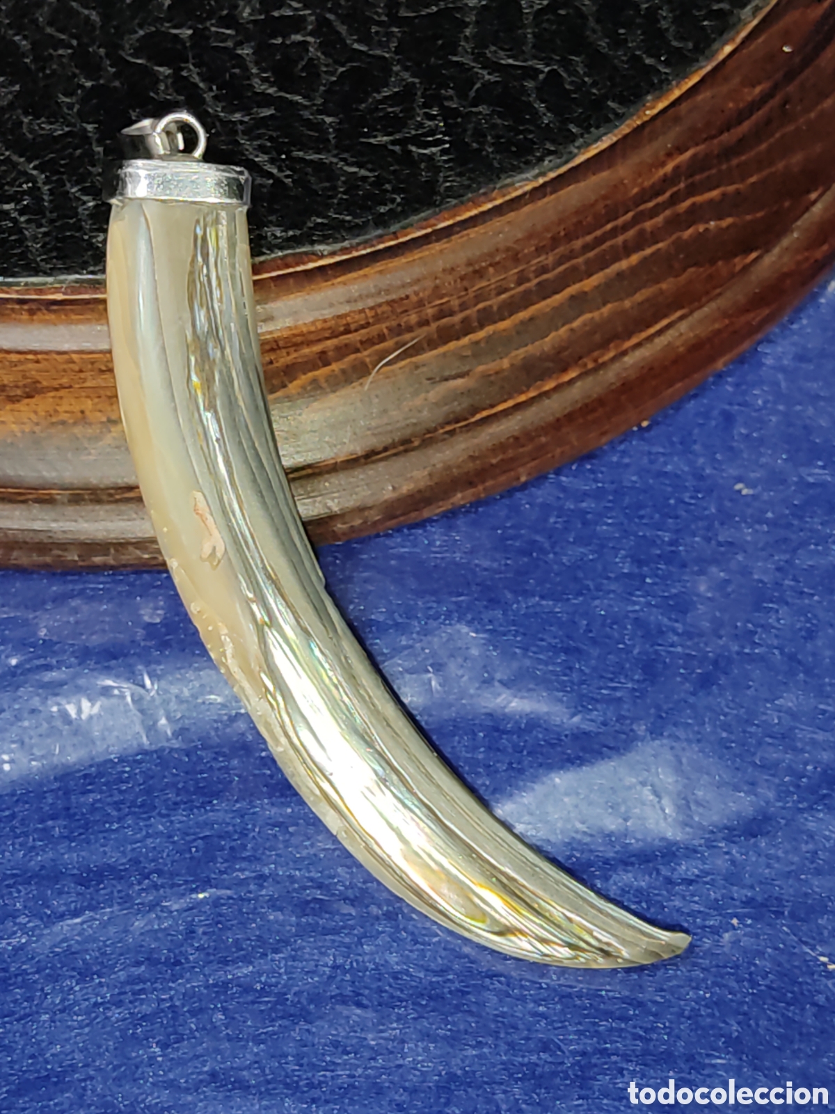 Joyeria: Colgante colmillo de n&aacute;car & &Aacute;valon. - Foto 6