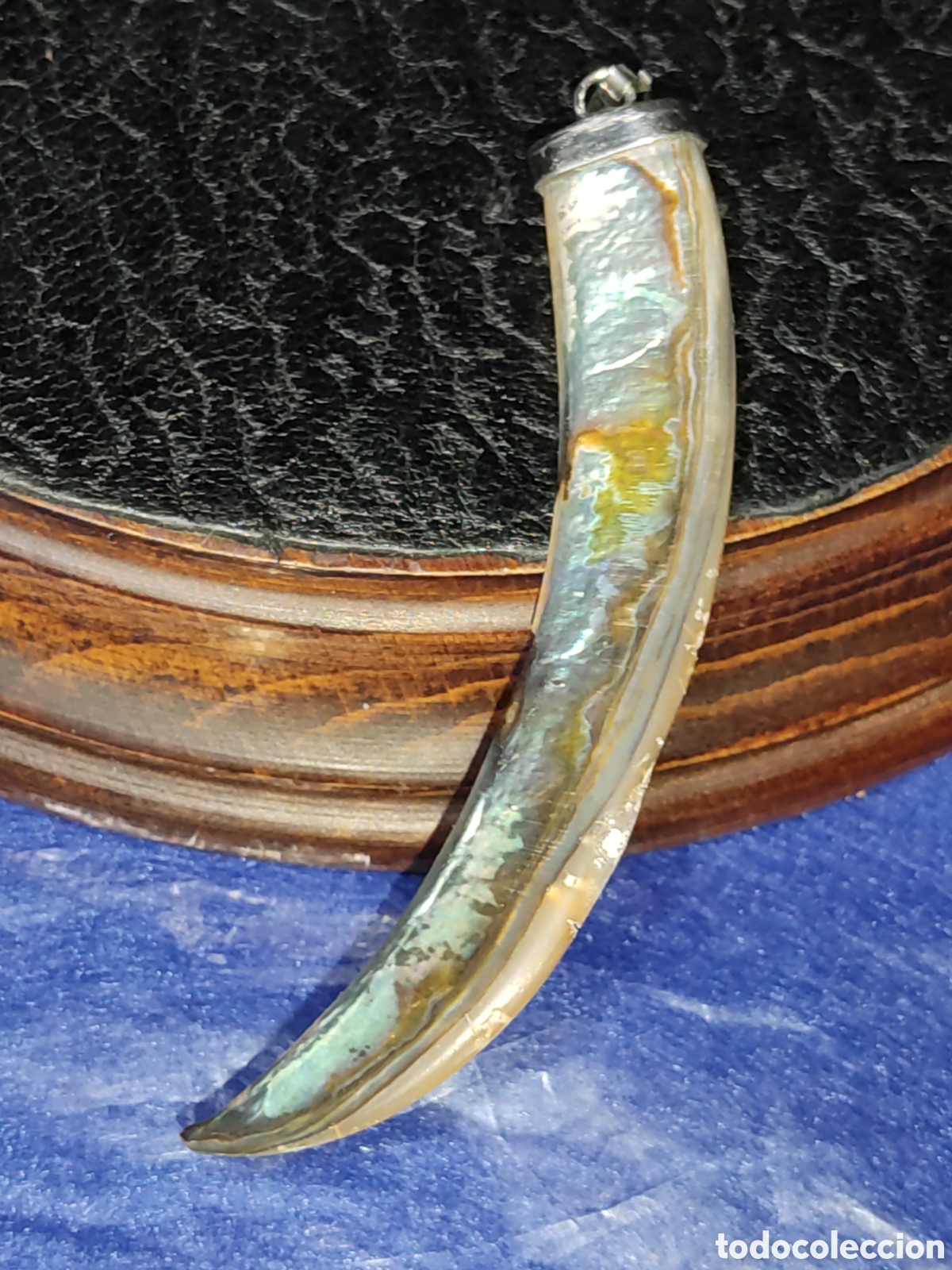 Joyeria: Colgante colmillo de n&aacute;car & &Aacute;valon. - Foto 7