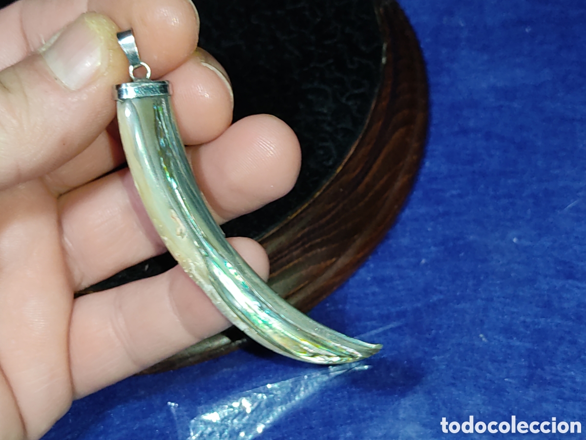 Joyeria: Colgante colmillo de n&aacute;car & &Aacute;valon. - Foto 1