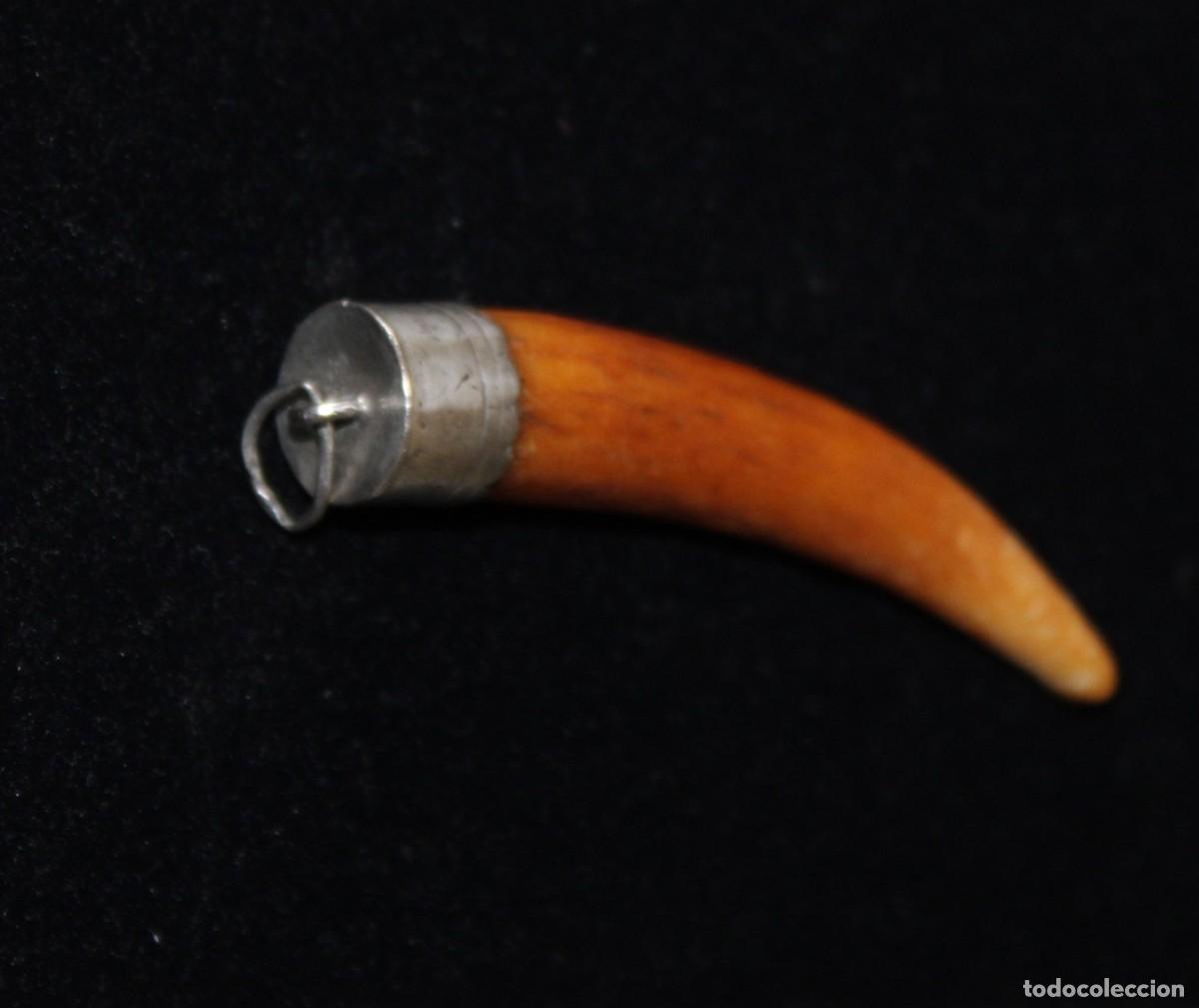 Joyeria: COLGANTE DE DIENTE ENGARZADO - Foto 1