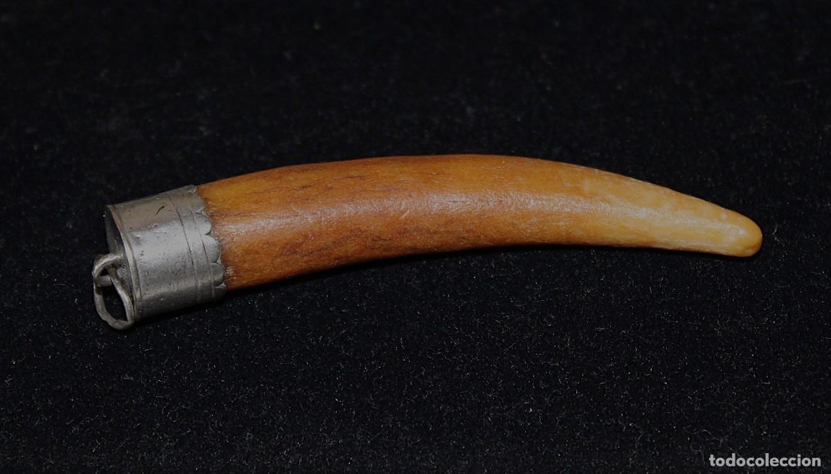 Joyeria: COLGANTE DE DIENTE ENGARZADO - Foto 2