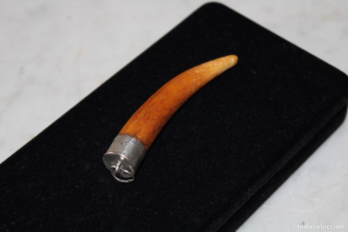 Joyeria: COLGANTE DE DIENTE ENGARZADO - Foto 3