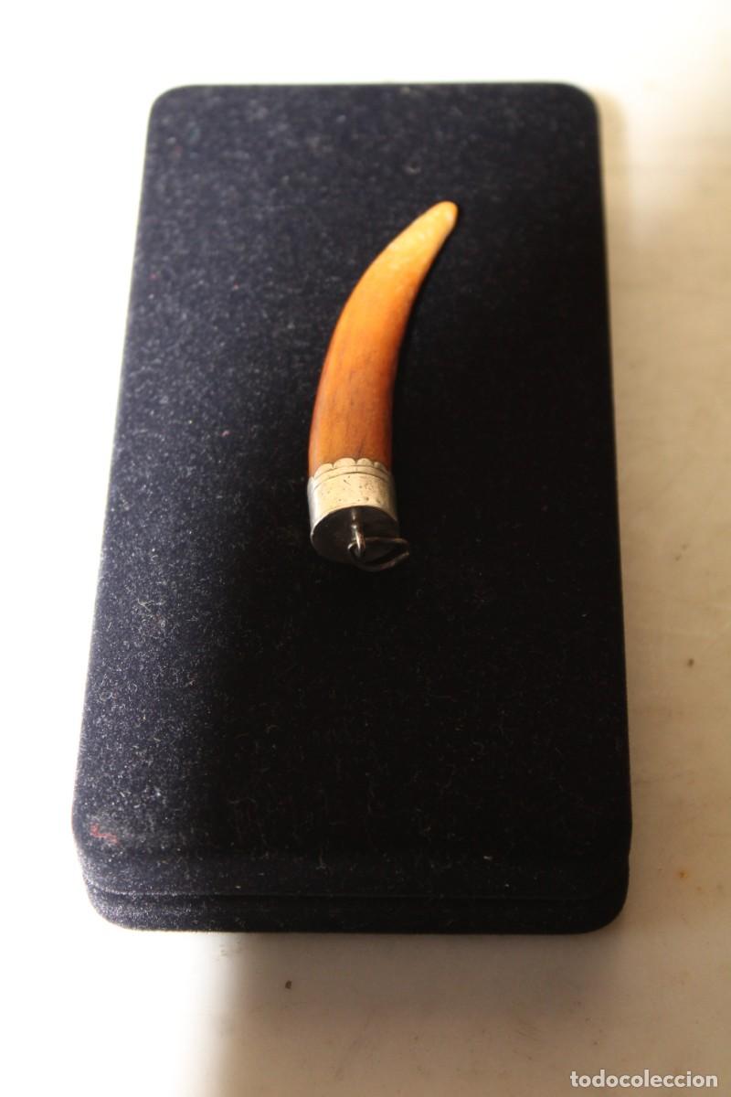 Joyeria: COLGANTE DE DIENTE ENGARZADO - Foto 4