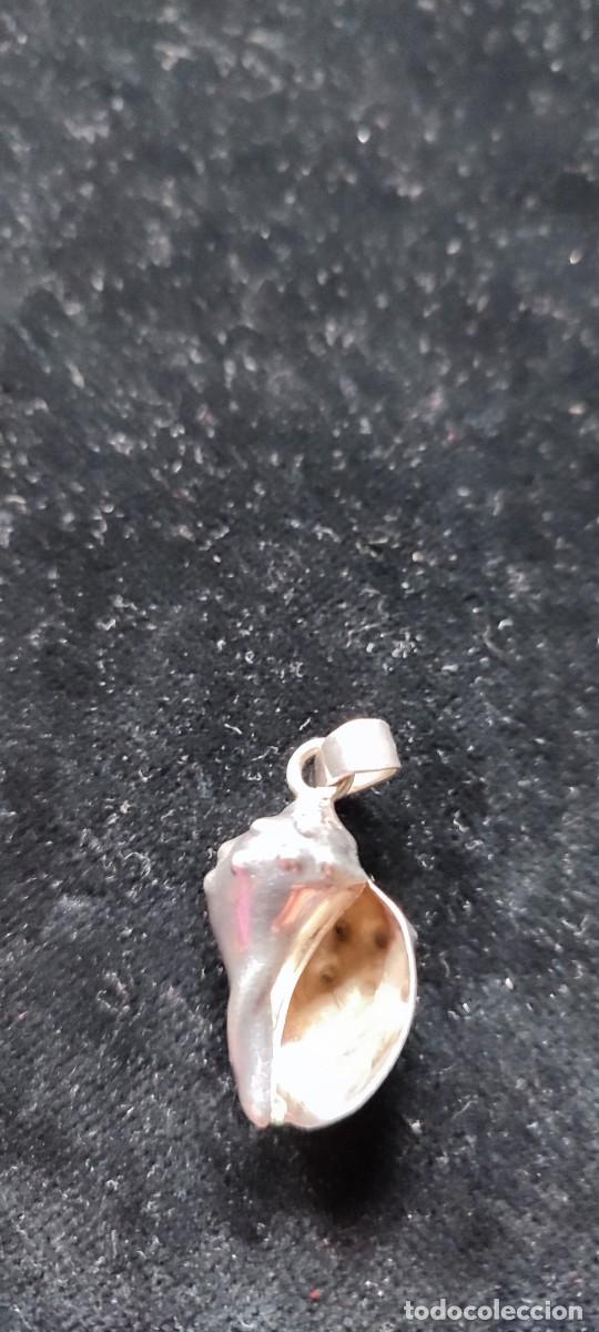 Joyeria: Colgante de caracola de plata - Foto 2