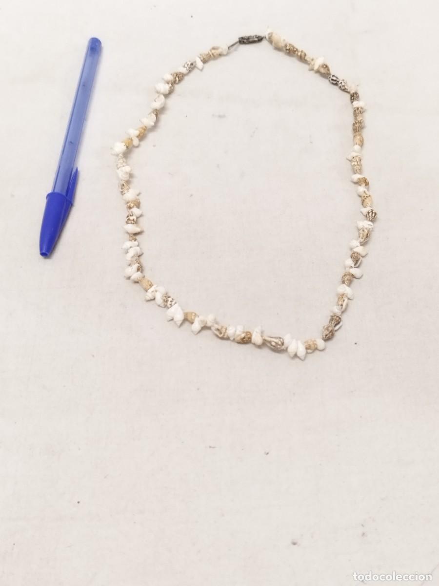 Joyeria: Antiguo collar de caracolas de mar. Dos tipos de caracolas - Foto 1