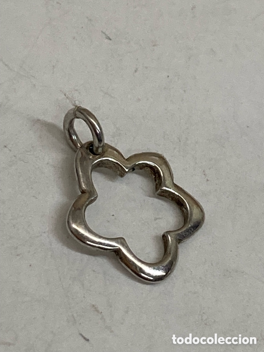 Joyeria: Colgante de plata C510 - Foto 1