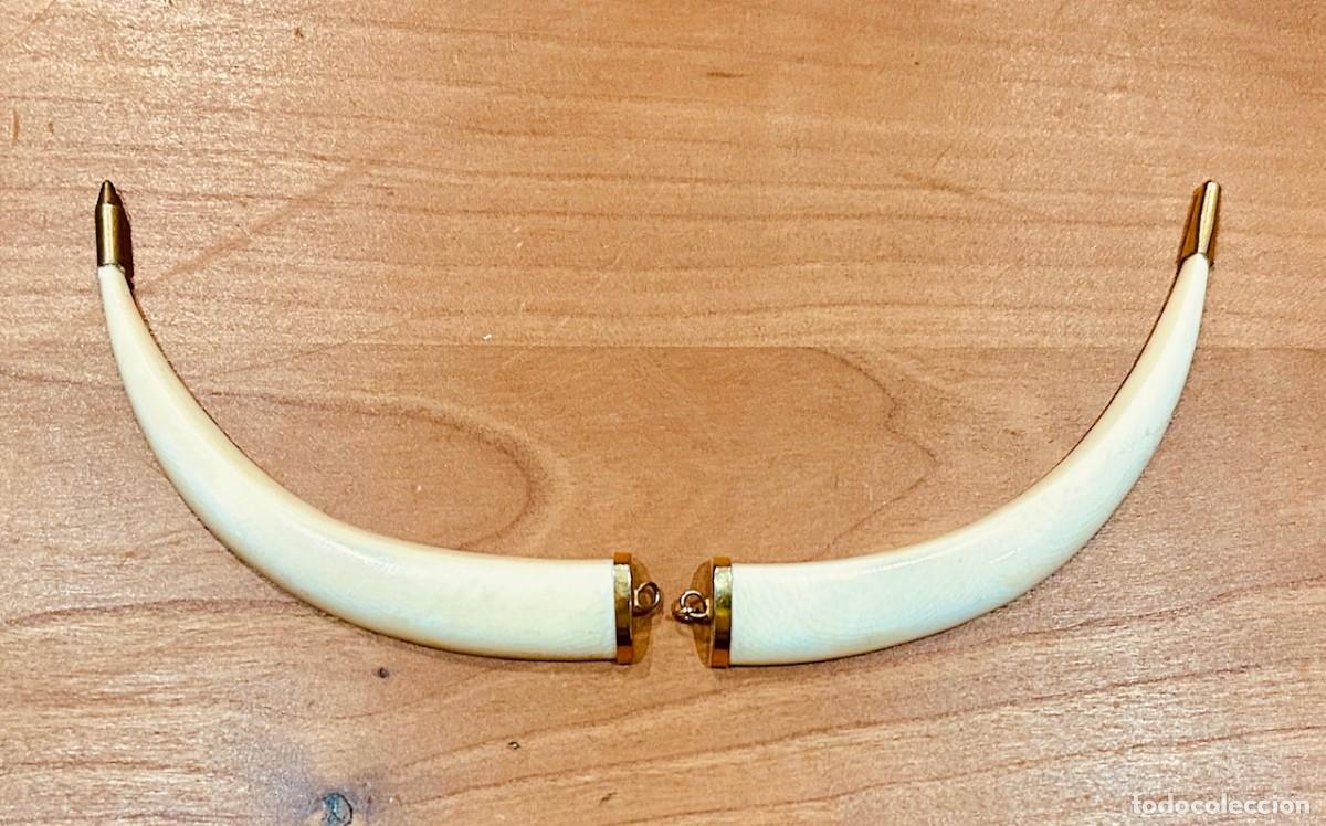 Joyeria: Pareja de Colmillos para collar, otros. - Foto 4