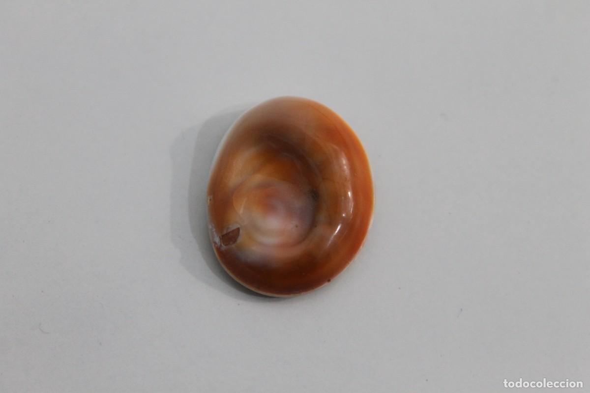 Joyeria: OJO DE SANTA LUCIA O DE SHIVA OPERC&Uacute;LO - Foto 2