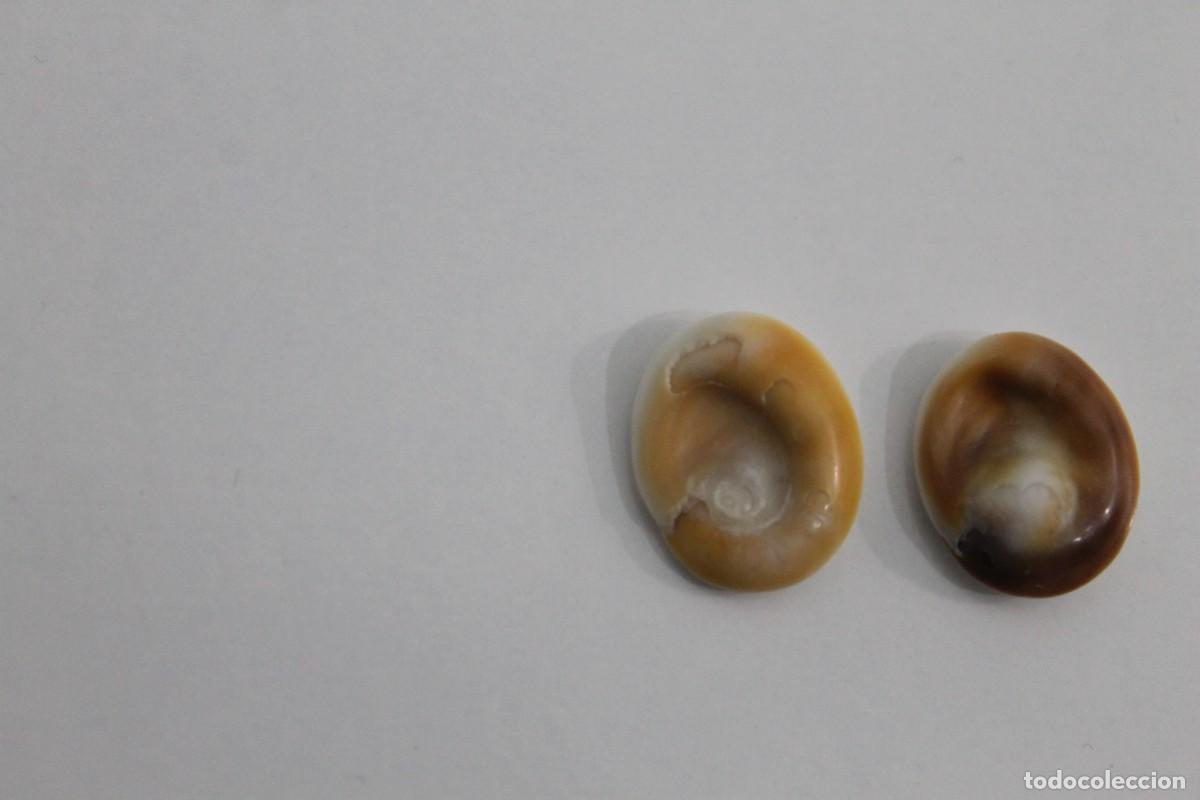 Joyeria: 2 OJO DE SANTA LUCIA O DE SHIVA OPERC&Uacute;LO - Foto 3