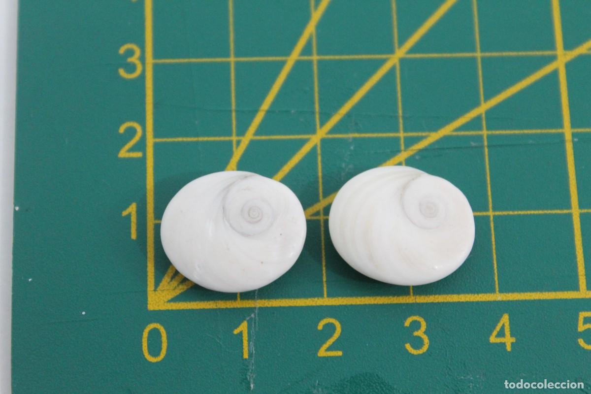 Joyeria: 2 OJO DE SANTA LUCIA O DE SHIVA OPERC&Uacute;LO - Foto 4