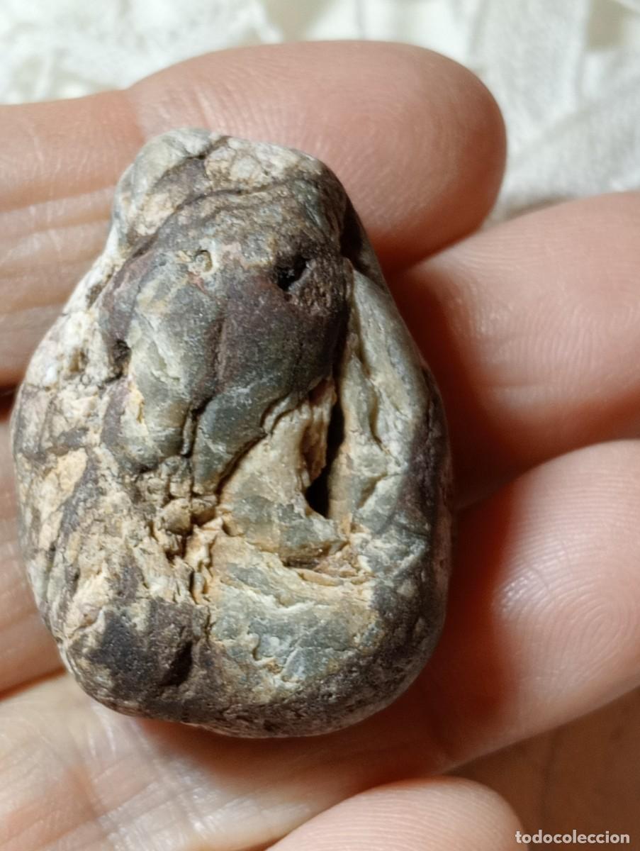 Joyeria: EXTRA&Ntilde;O N&Oacute;DULO DE &Aacute;GATA DRAG&Oacute;N NATURAL (SIN USAR) - Foto 2