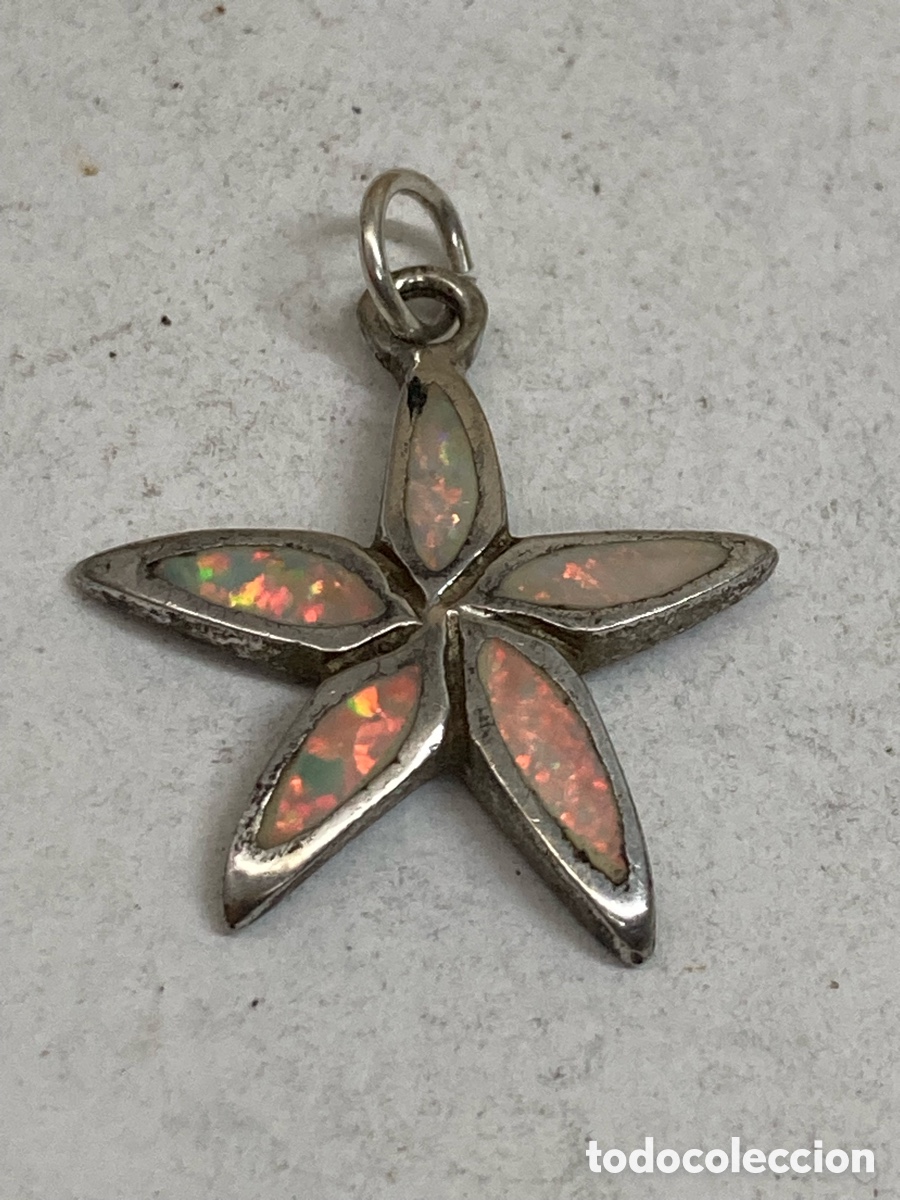 Joyeria: Colgante de plata n&aacute;car C527 - Foto 1