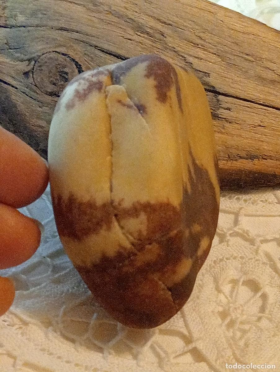 Joyeria: GRAN EJEMPLAR DE JASPE MOOKAITA EN BRUTO (SIN USAR) - Foto 9