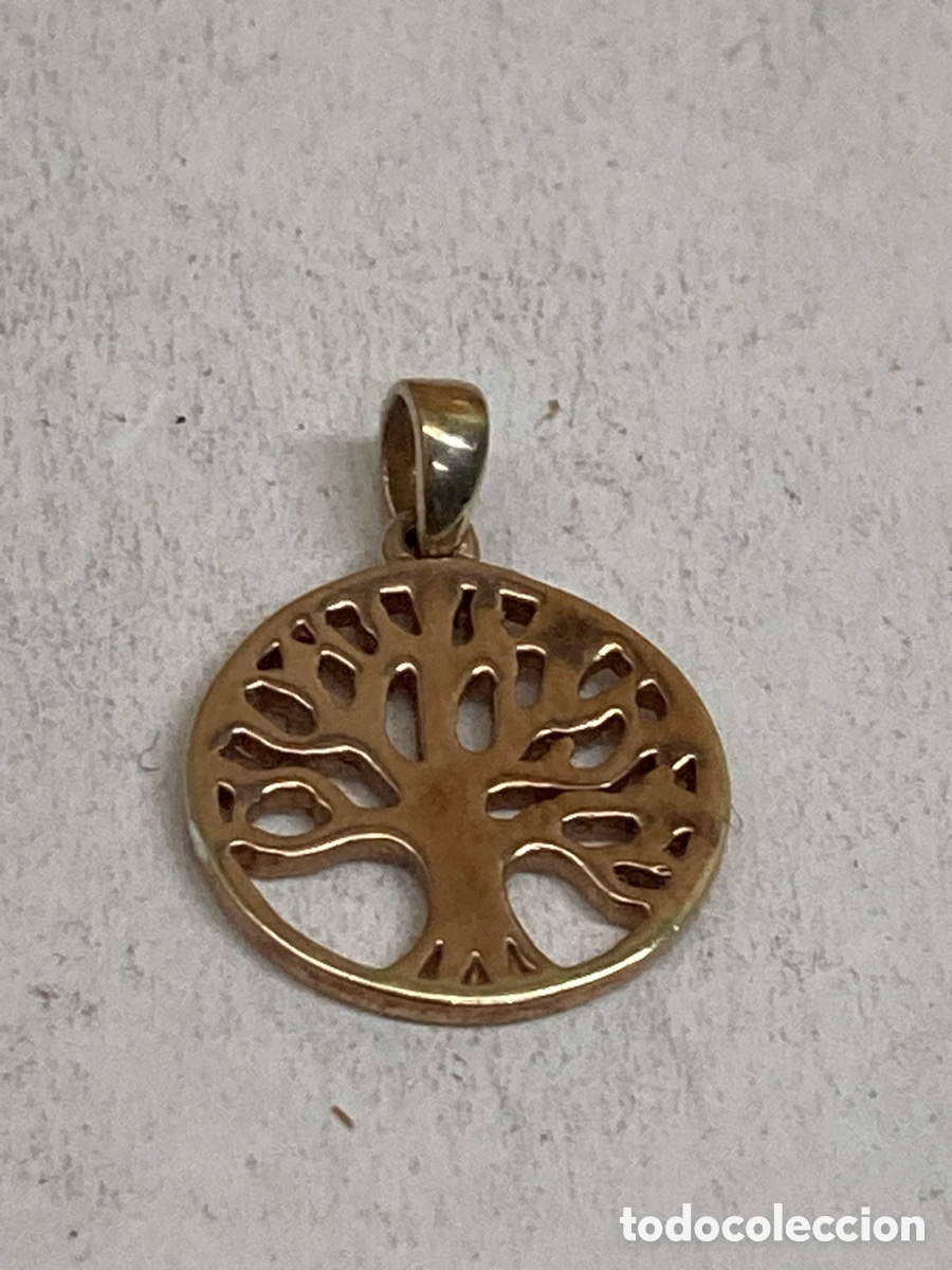 Joyeria: Colgante de plata C534 - Foto 1
