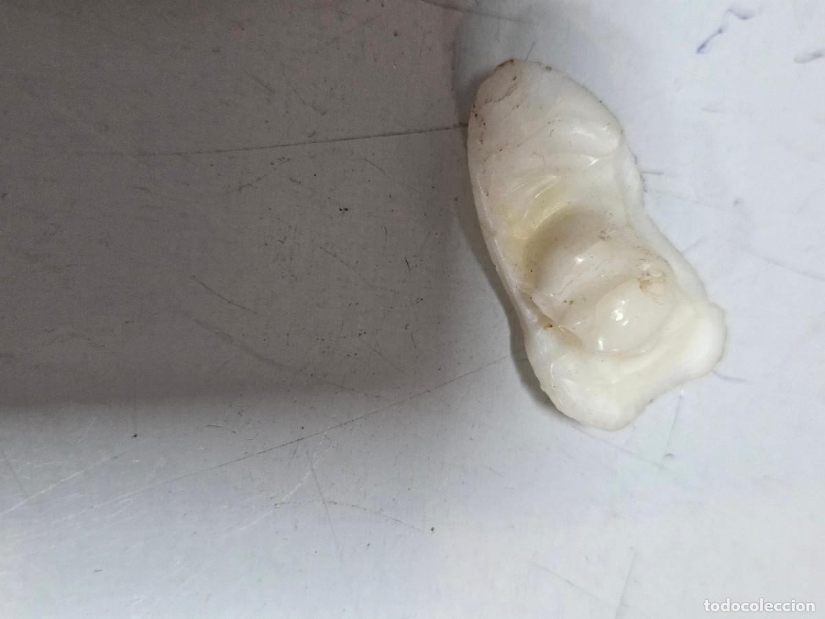 Joyeria: hueso de corbina para joyeria - Foto 2