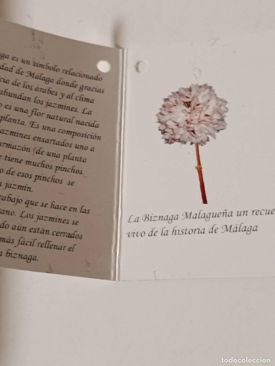 Joyeria: TROFEO BIEZNAGA DE PLATA BARNIZADA.MARCA HAGO - Foto 10