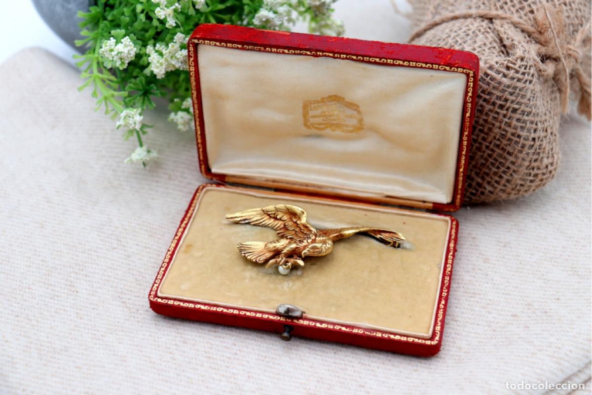 Joyeria: Broche de oro de 19,2 quilates con perla - &Aacute;guila - Foto 1