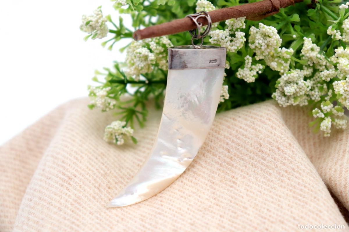 Joyeria: Colgante de plata con forma de colmillo de jabal&iacute;. - Foto 3