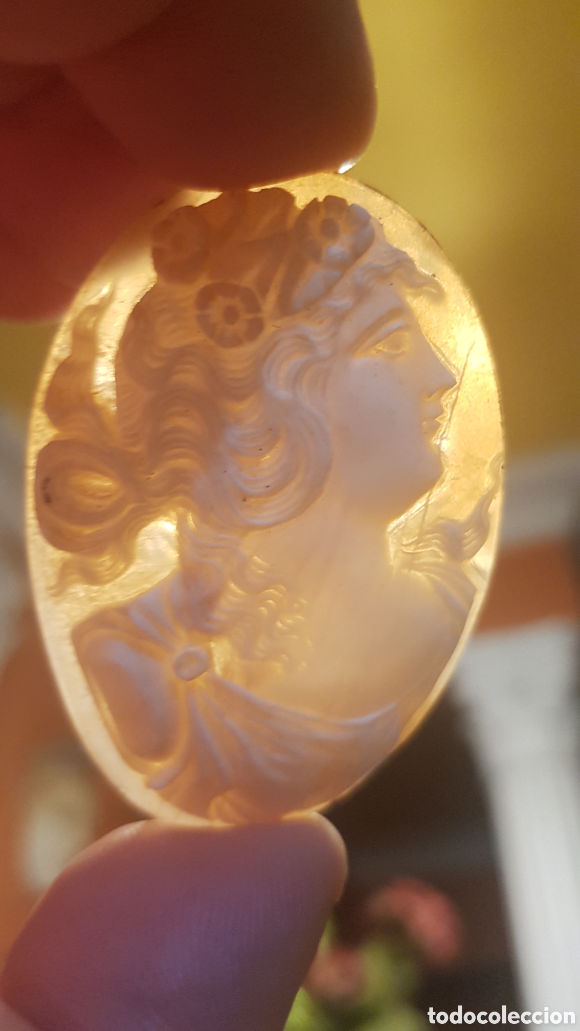 Joyeria: Precioso Camafeo sin engarzar - Foto 1