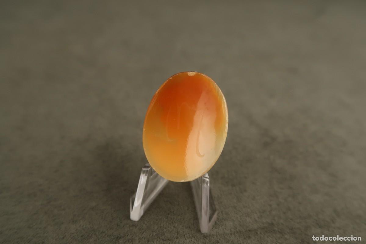 Joyeria: Antiguo Camafeo de Concha - Foto 9