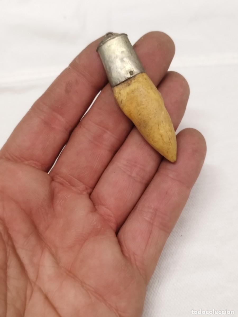 Joyeria: Antiguo colgante de un diente a identificar. - Foto 1