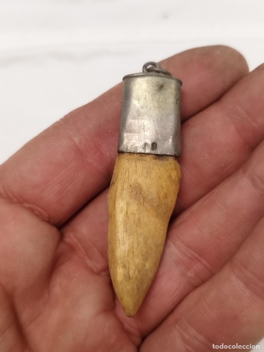 Joyeria: Antiguo colgante de un diente a identificar. - Foto 4