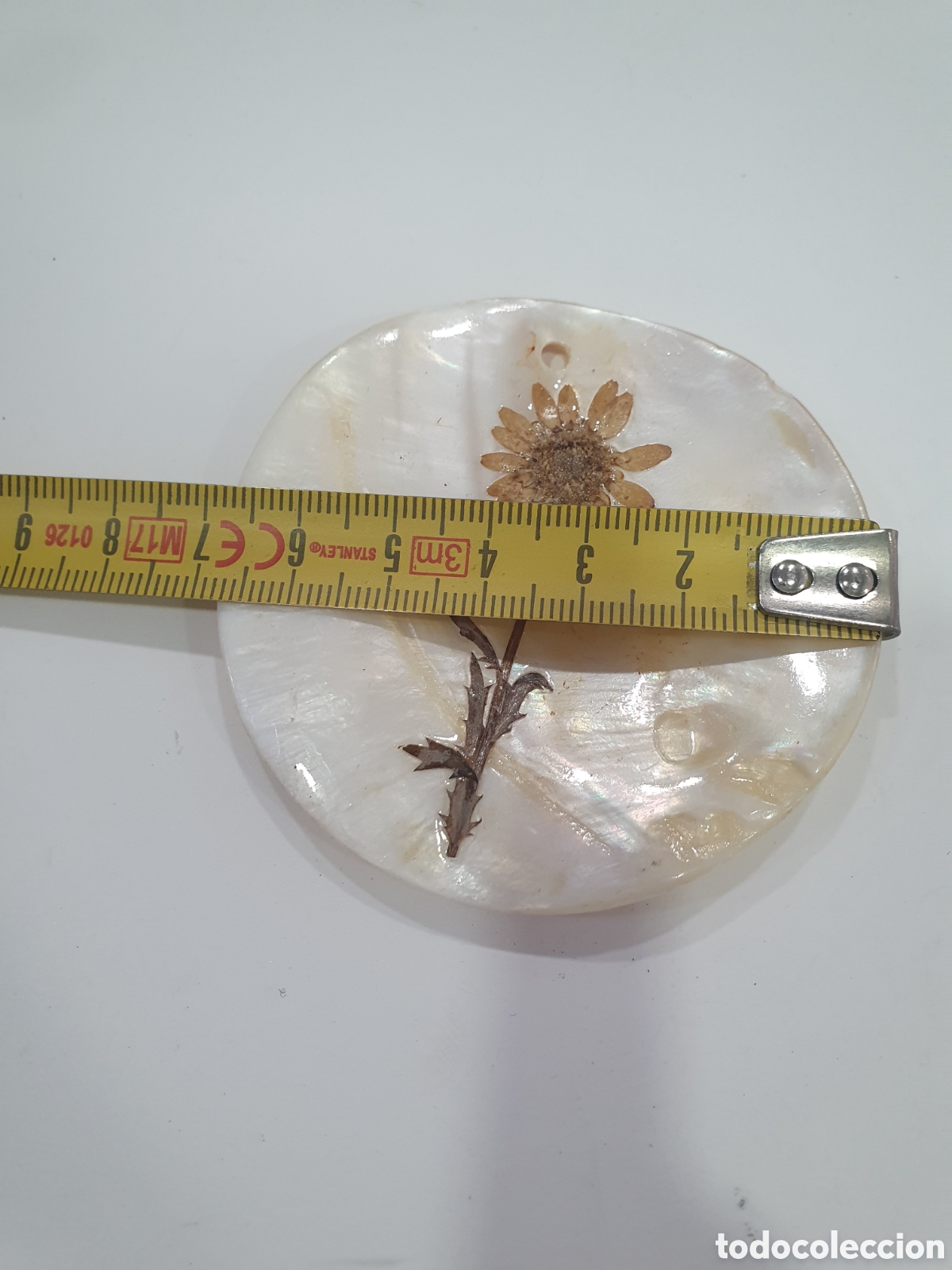 Joyeria: Colgante nacar. (L57) - Foto 2