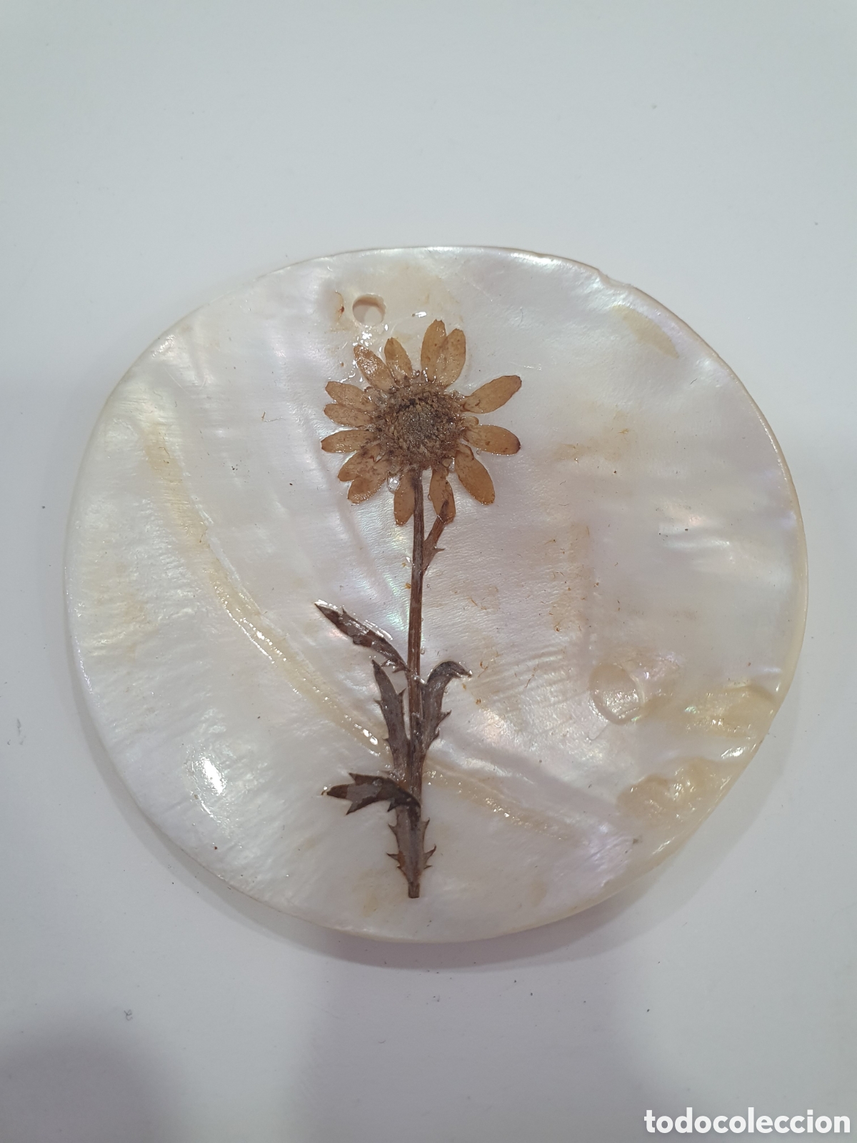 Jewelry: Colgante nacar. (L57)