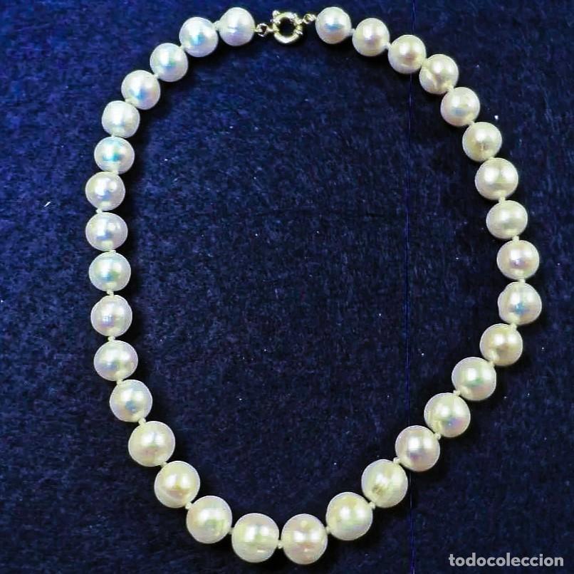 Joyeria: COLLAR DE PERLAS CULTIVADAS LIGERAMENTE BARROCAS 12 MM CON CIERRE DE ORO AMARILLO. MED. CMS. 18 KTS