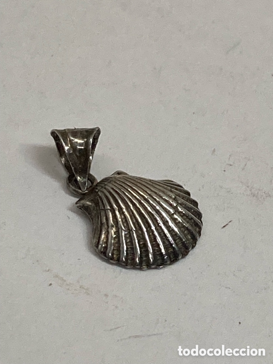 Joyeria: Colgante de plata C571