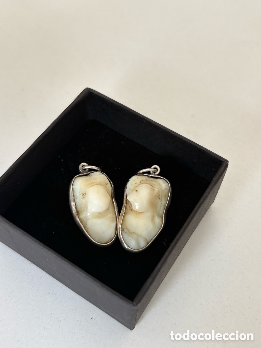 Joyeria: Conjunto de Colgante de plata / Engarce Dientes de corvina