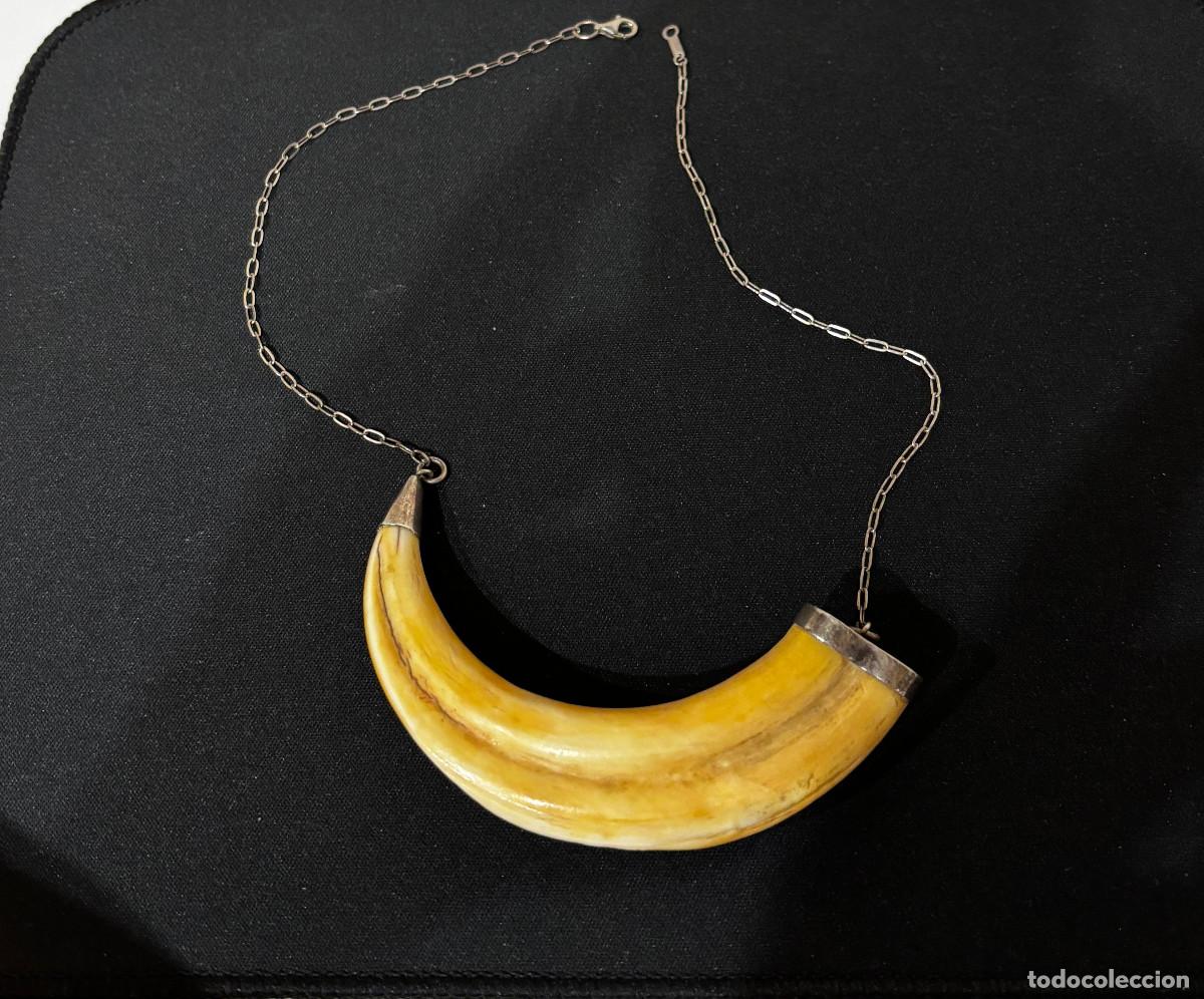 Joyeria: Collar/gargantilla plata y colmillo jabal&iacute;