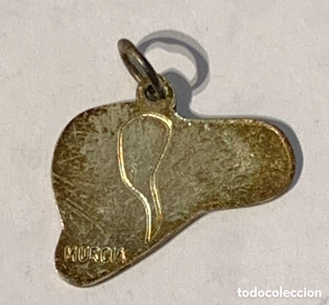 Joyeria: Colgante. Equipo de Trasplantes de H&iacute;gado. Murcia. Plata. A&ntilde;os 90.