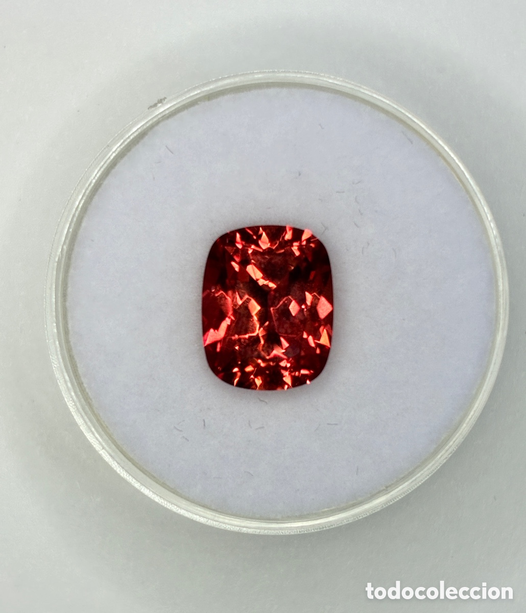 Joyeria: Zafiro Red Lotus de laboratorio