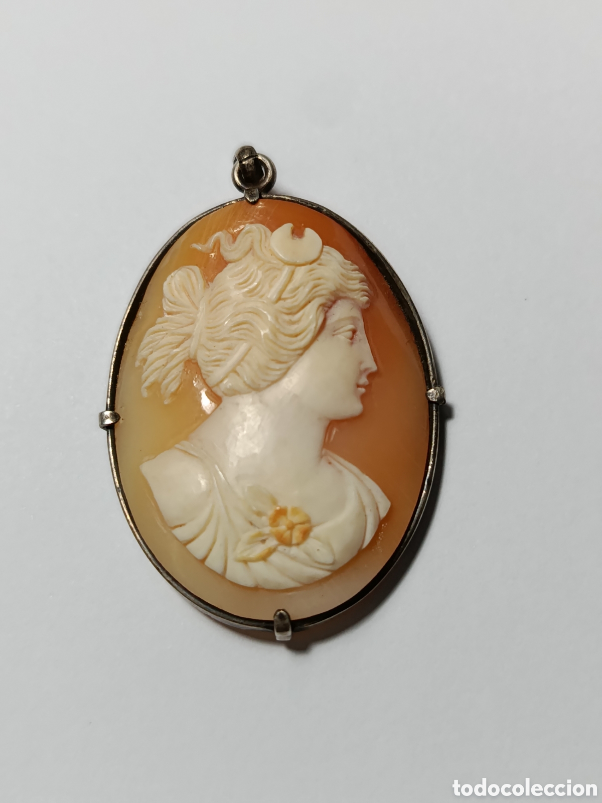 Joyeria: Antiguo colgante camafeo. Plata y concha.